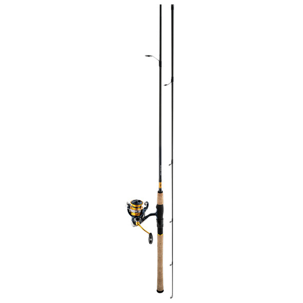 Daiwa Revros LT Spinning Combo