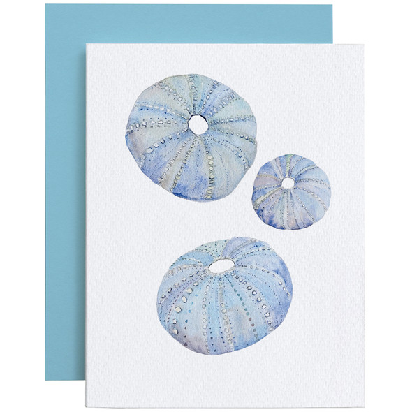 CD-CSL013 - Individual Card CD-CSL013 - Individual Card