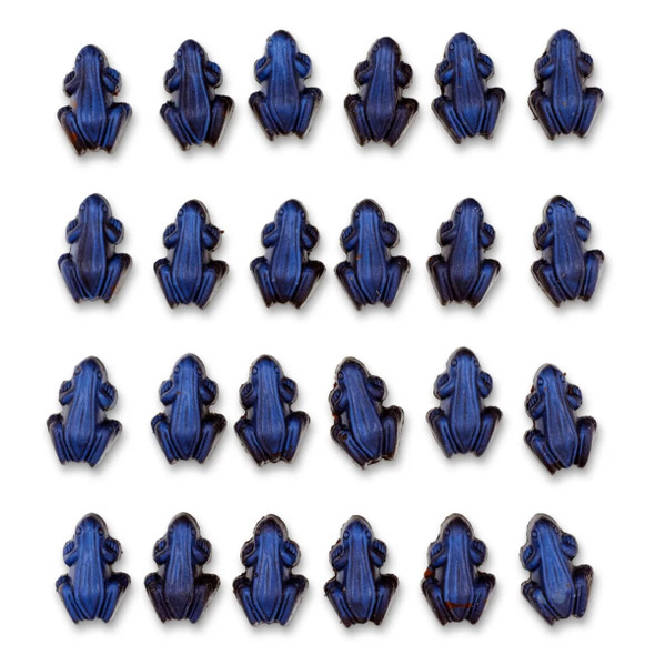 Ragged Coast Dark Chocolate Frogletiers Candy