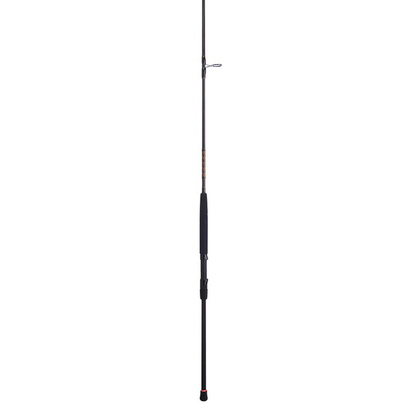 Penn Squadron III Surf Spinning Rod