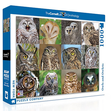 New York Puzzle Company - Owls and Owlets