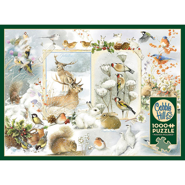 Model# 40313 - box, front