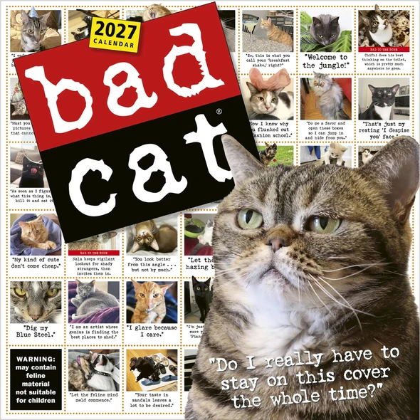 Model# 523534739 - front cover