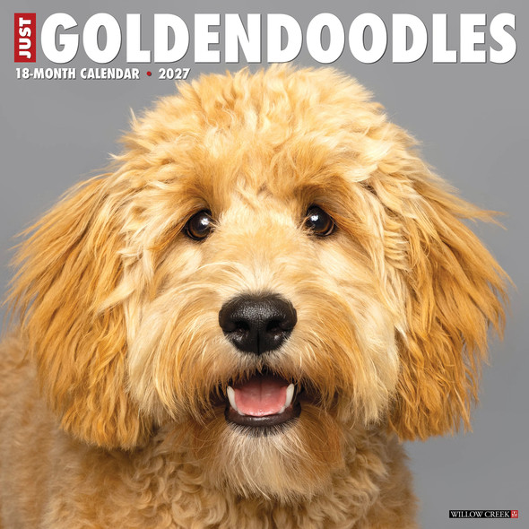 Model# 60469 - front cover