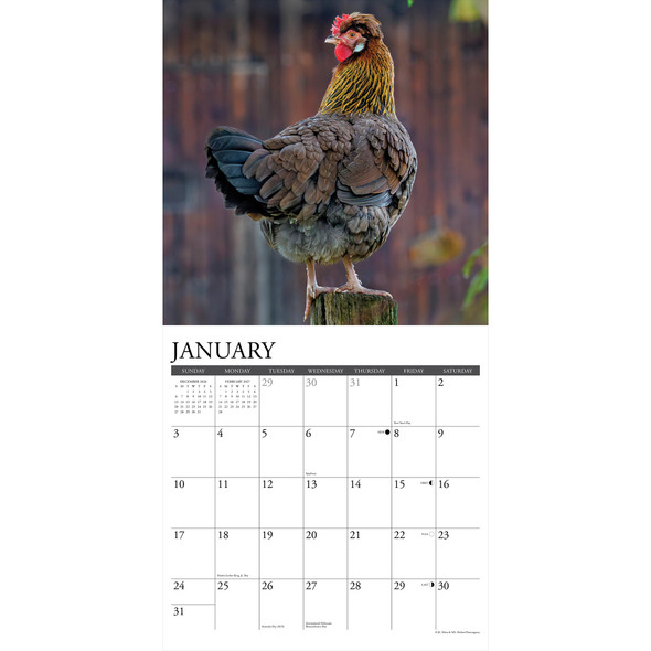 Model# 60896 - January pages
