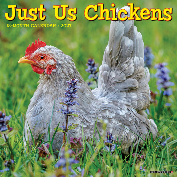 Model# 60896 - front cover