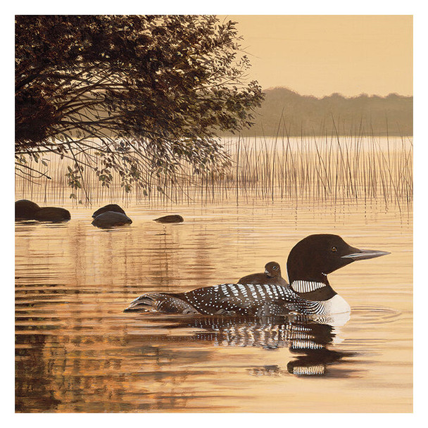 Carson Home Accents Loon Coaster