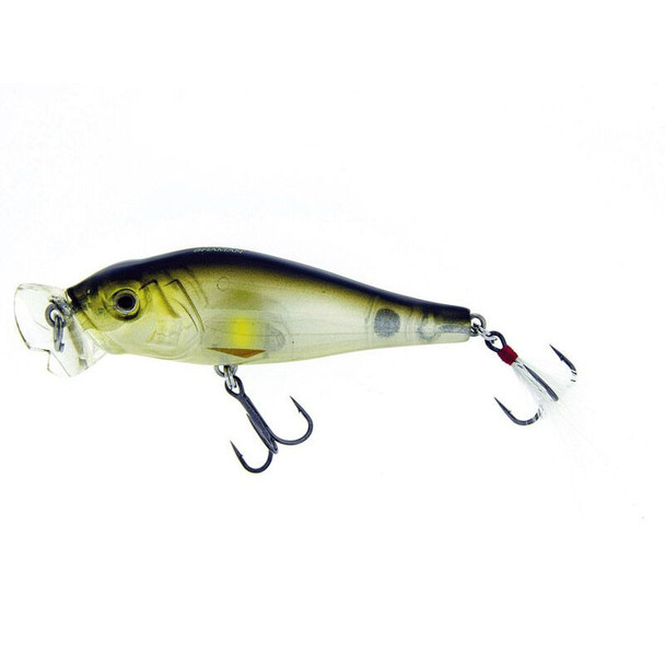 Molix Shaman Popper Lure