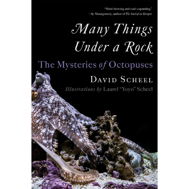 Many Things Under a Rock: The Mysteries of Octopuses by David Scheel