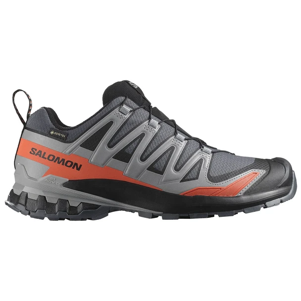 Salomon Men's XA Pro 3D V9 Gore-Tex Trail Running Shoe