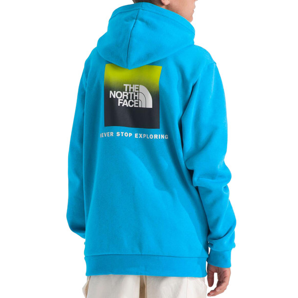 The North Face Teen Evolution Box NSE Pullover Hoodie - Kittery