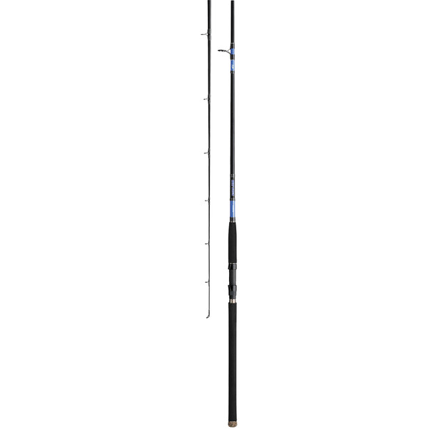 Daiwa Beefstick Surf Casting Rod