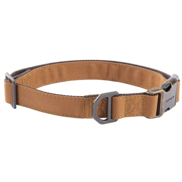 Carhartt Field Dog Collar