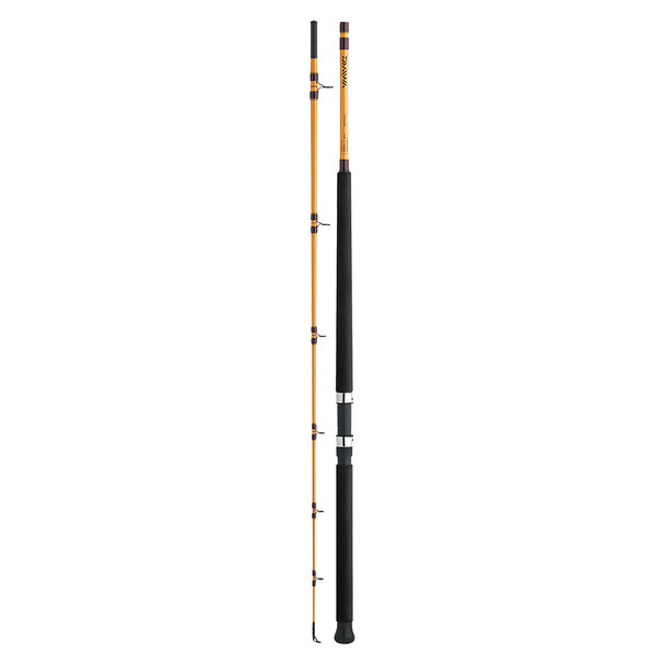 Daiwa FT Surf Spinning Rod