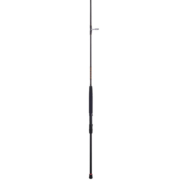 Penn Squadron III Surf Spinning Rod