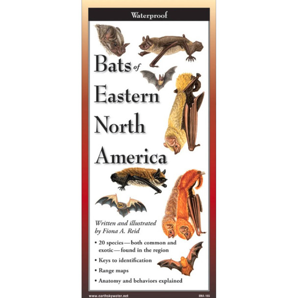 Bats of the Eastern North America: FoldingGuides