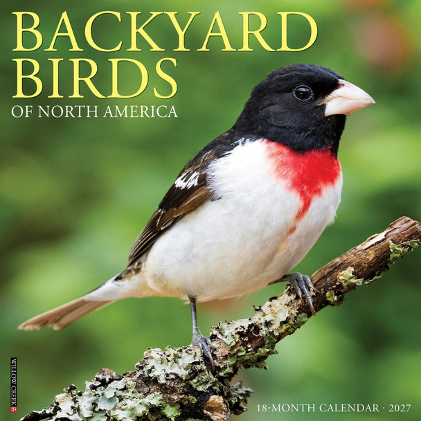 Model# 58978 - front cover