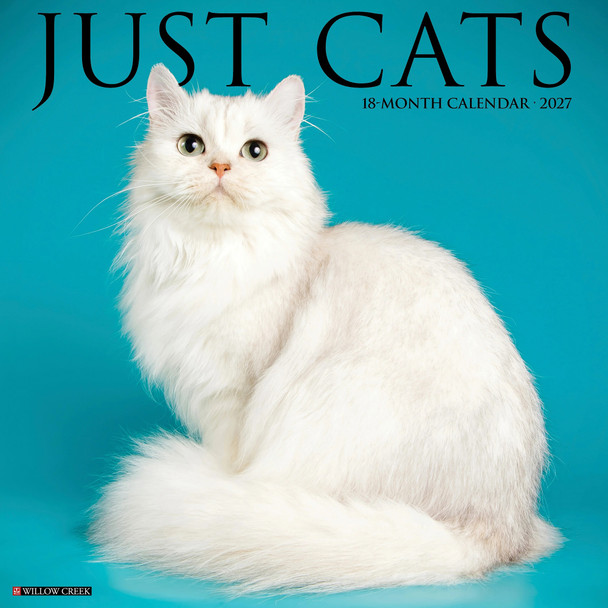 Model# 59562 - front cover