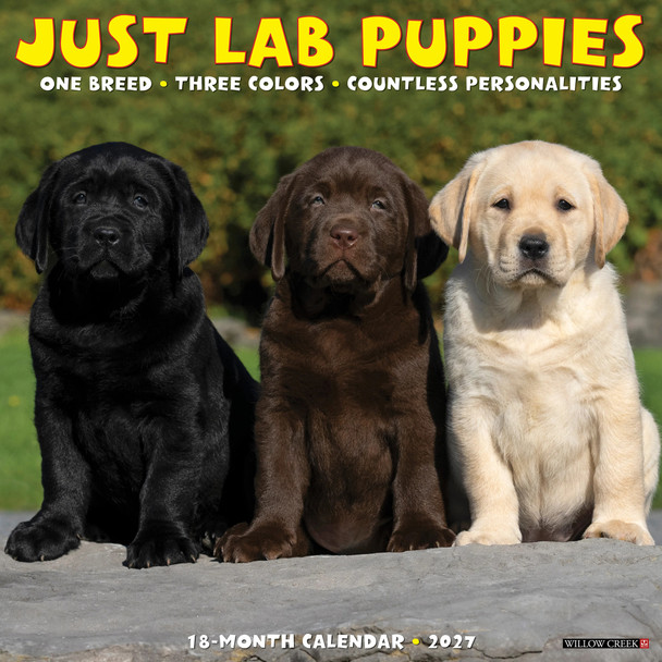 Model# 60964 - front cover