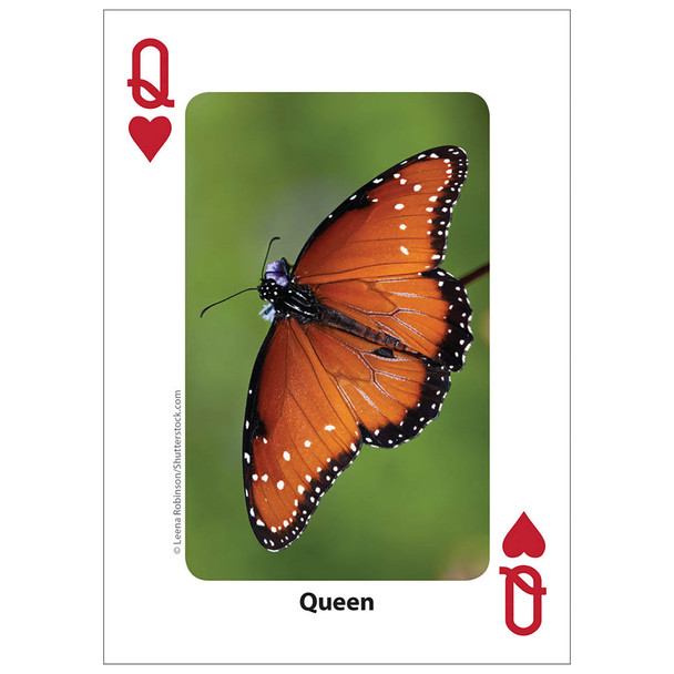 Bees & Butterflies Playing Cards Bees & Butterflies Playing Cards