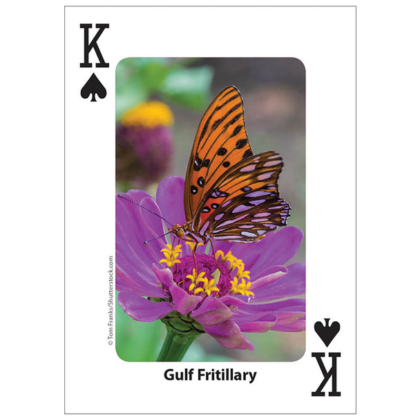 Bees & Butterflies Playing Cards Bees & Butterflies Playing Cards