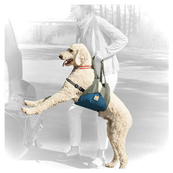 Kurgo Up & About Dog Lifter