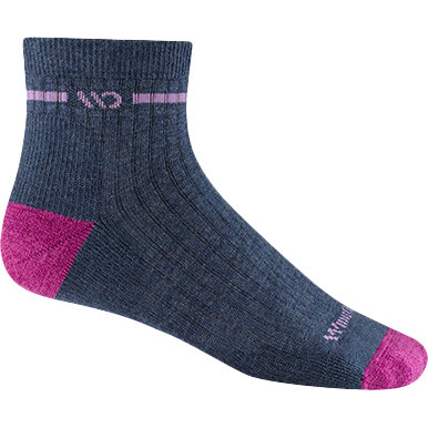 Wide Open Women's Single Stripe Quarter Sock