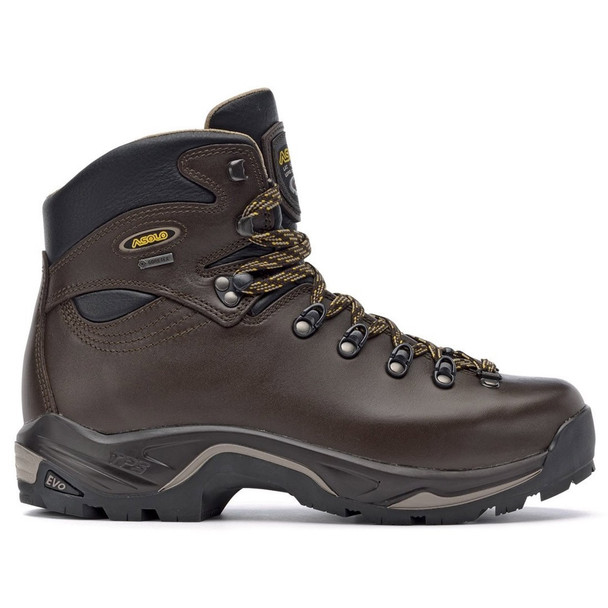 Asolo Men's TPS 520 GV Evo Hiking Boot