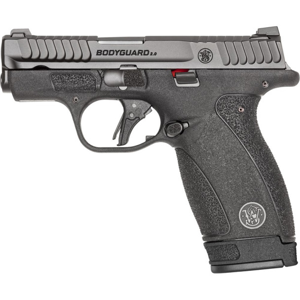 Smith & Wesson Bodyguard 2.0 NTS 380 Auto 2.75" 10/12-Round Pistol w/ 2 Magazines