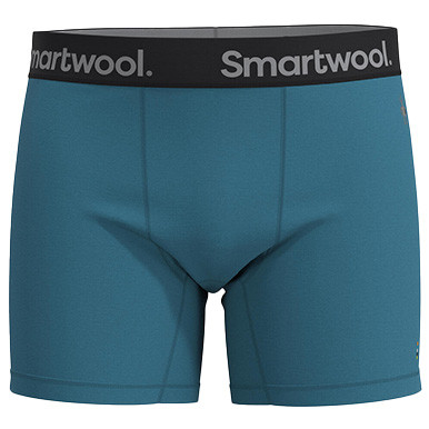 SmartWool Men's Active Boxer Brief