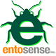 Entosense
