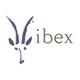 Ibex