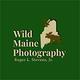 Wild Maine Photography