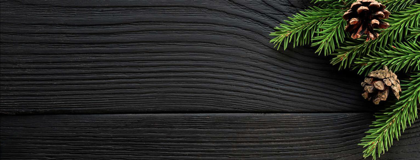 Black Friday Specials