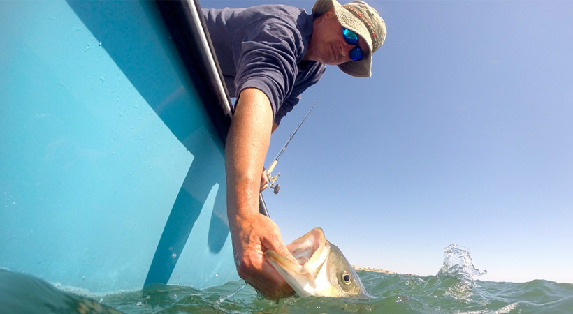 Fishing Promotion
