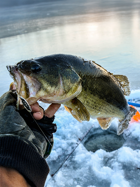 Ice Fishing
