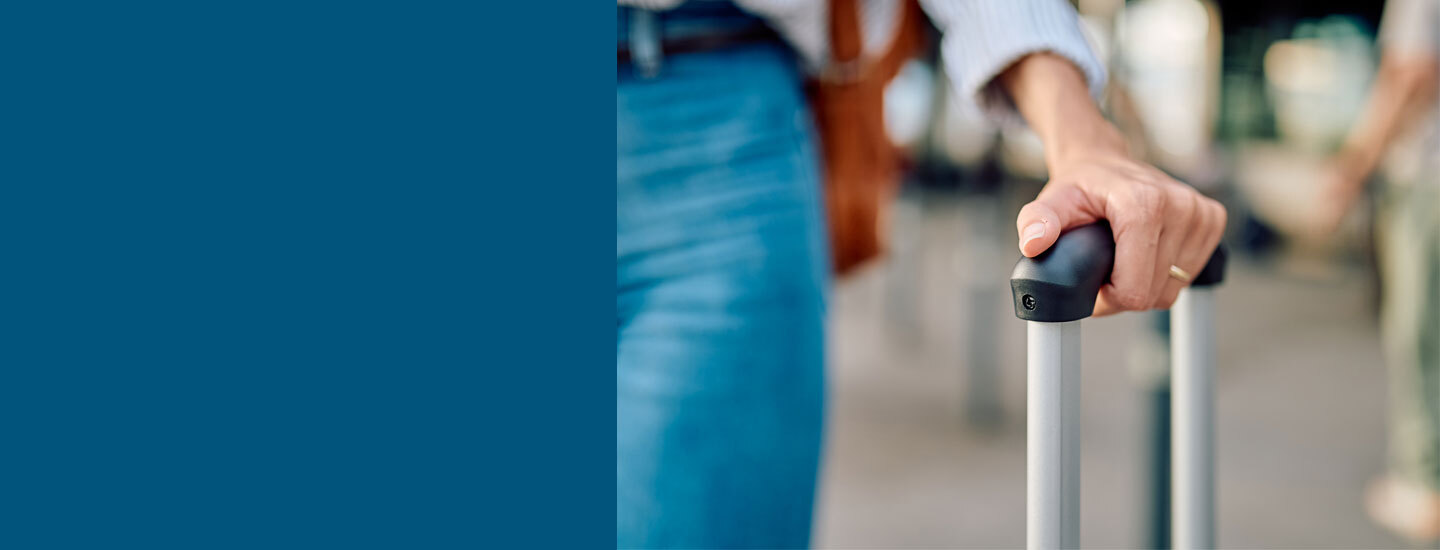 Travel Luggae & Accessories