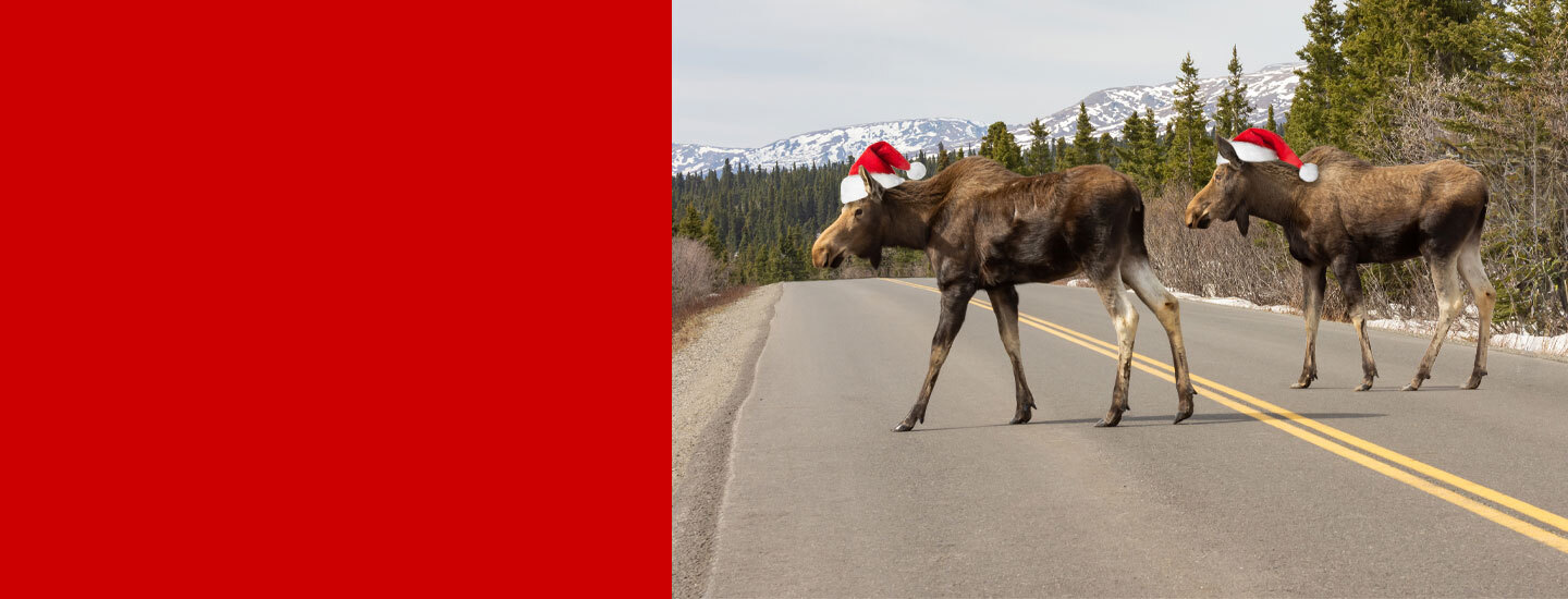 Two for Tuesday Promotion