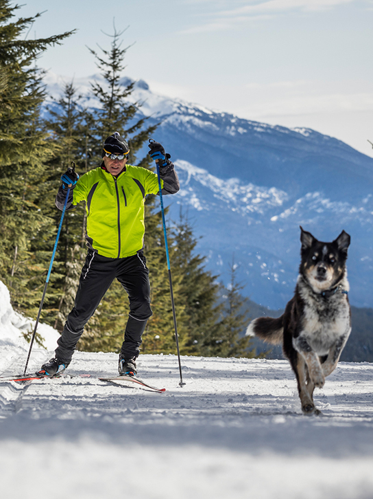 Cross Country Skiing