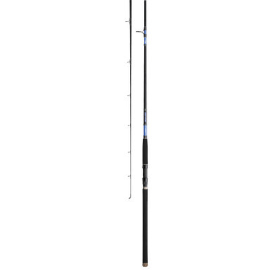 daiwa beefstick surf spin fishing rod Beefstick-SF Rods Spinning 7' for SF Spinning Surf Rodith Multi Beefstick Spin & Baitcast Rods