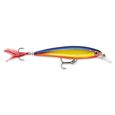 X_Rap_Lure__08538.1737966782.