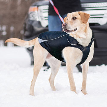 Kurgo North Country Coats Kurgo North Country Dog Coat, Cold