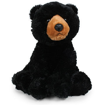 Aurora Black Bear 14