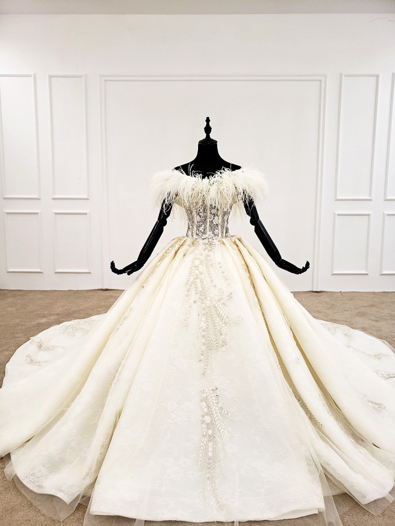 Off-the-shoulder Floral Appliqued Tulle Ball Gown Dress Champagne