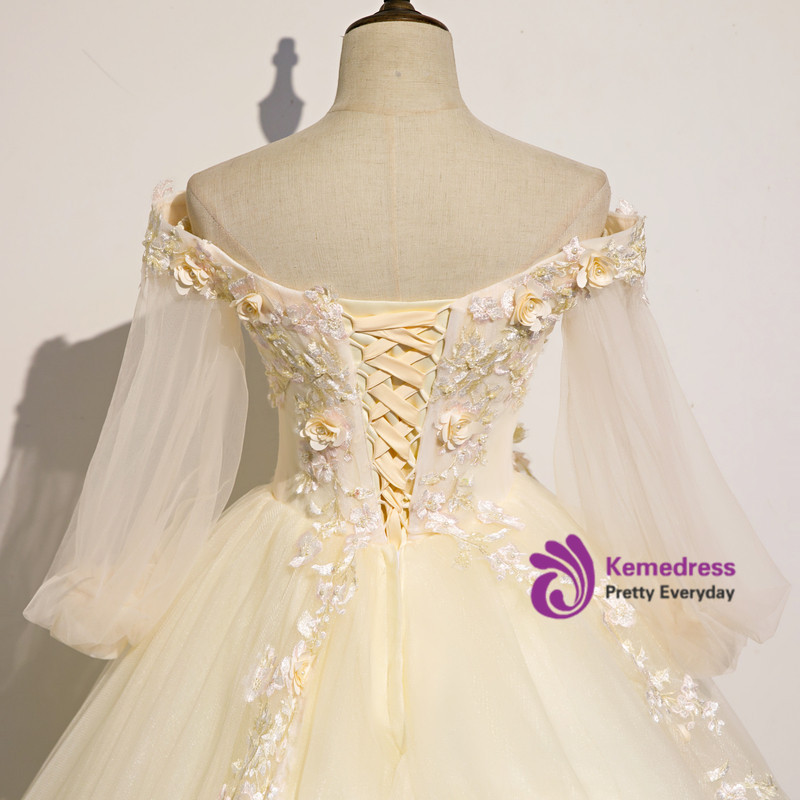 Dark Champagne Tulle Embroidery Long Sleeve Quinceanera Dress main image 1