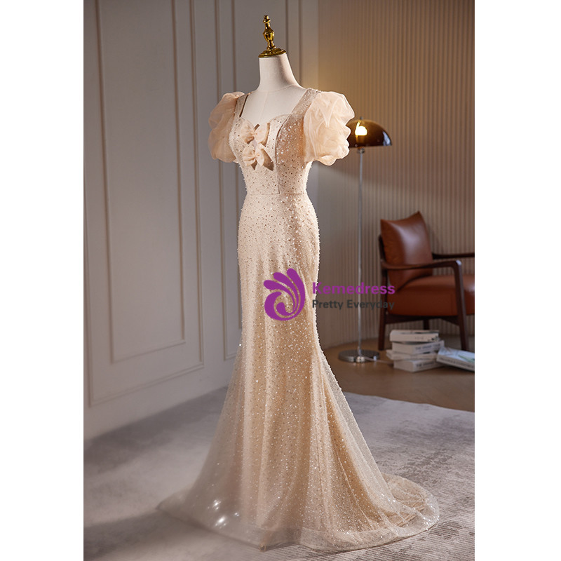 Champagne Prom Dresses Gorgeous Trumpet/Mermaid Long Sleeves Sequins Lace Prom Dresses