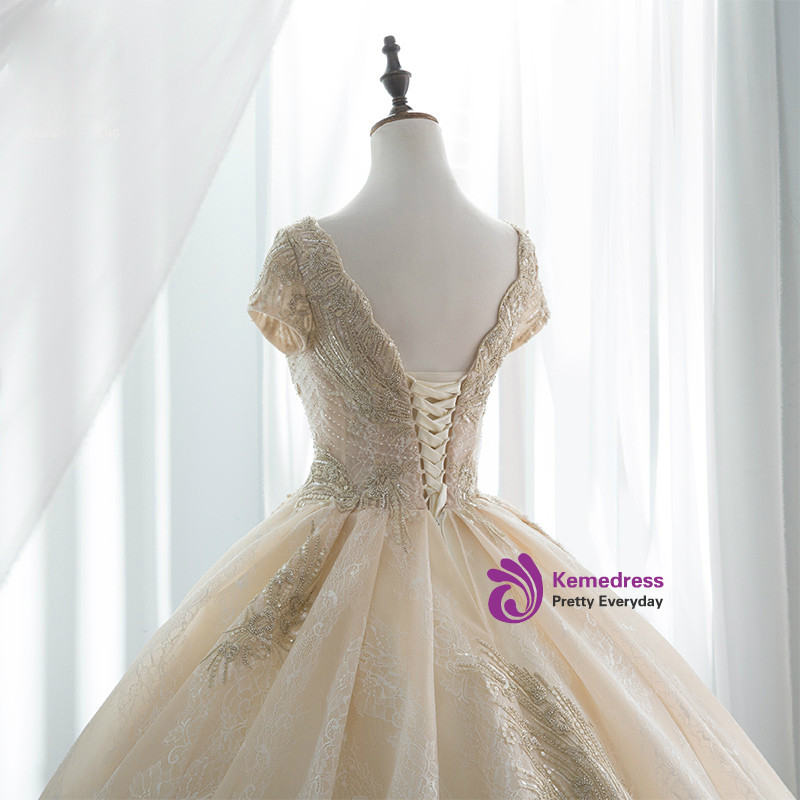 Champagne V-Neck Backless Tulle Wedding Dress with Lace