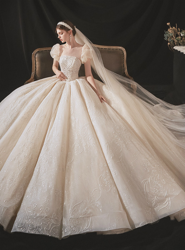 Dark Champagne Tulle Appliques Puff Sleeve Backless Wedding Dress
