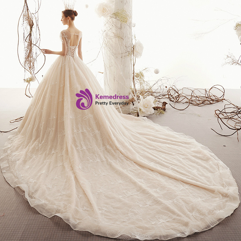 Backless Tulle Wedding Dress with Chapel Train Champagne