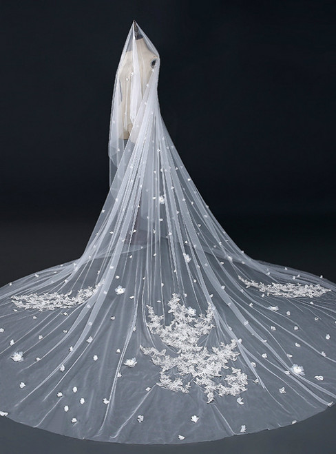 In Stock:Ship in 48 Hours Lace Applique With Long Thread Wedding Veils